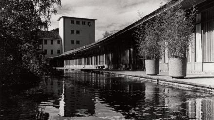 University House Pond, 1986 (Sources: ANU Archives)