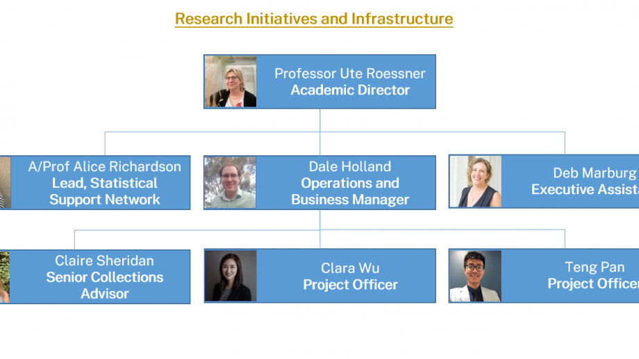 Organisation chart of Research Initiatives and Infrastructure team structure.